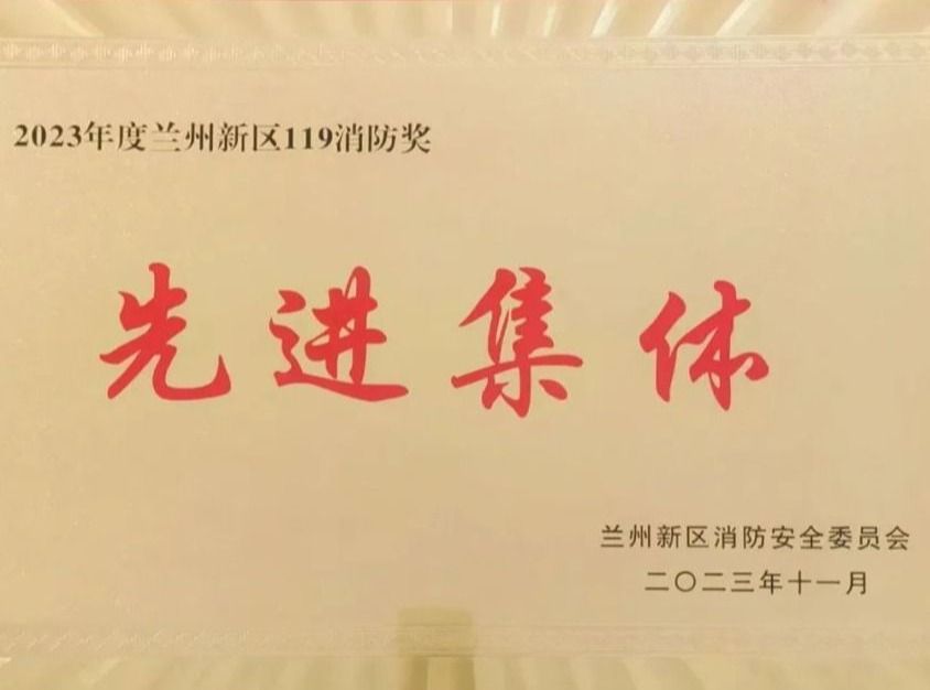 十大买球官方网站荣获2023年度兰州新区“119消防奖先进集体”称号