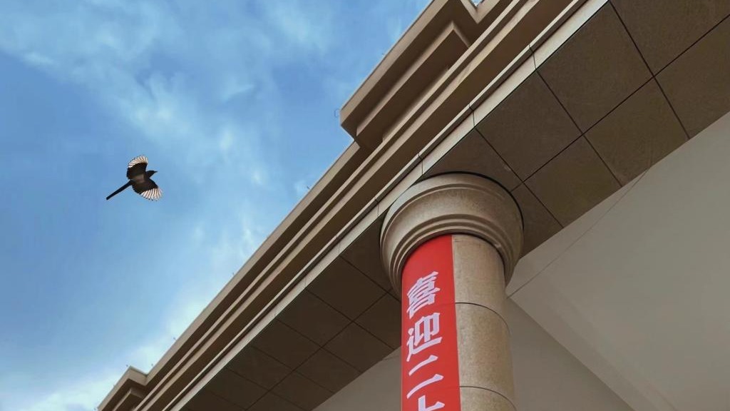 十大买球官方网站师生喜迎二十大（组图）
