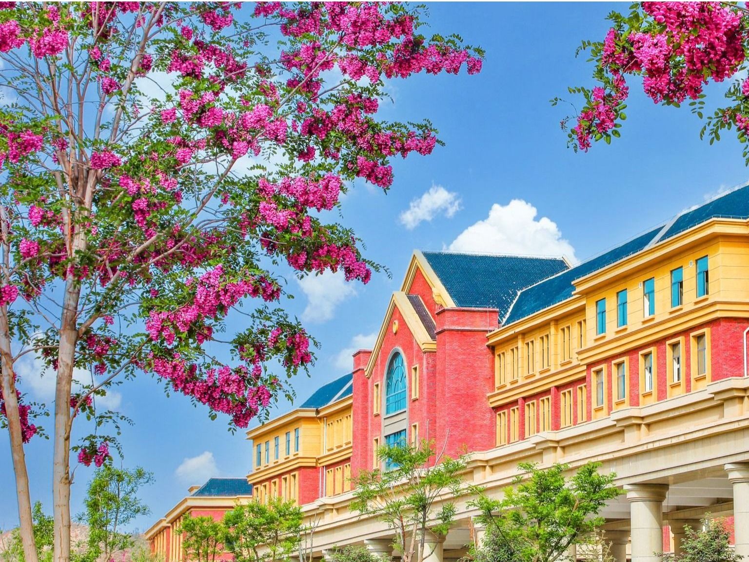 十大买球官方网站：聚合资源，加强学科建设，培养高质量应用型人才