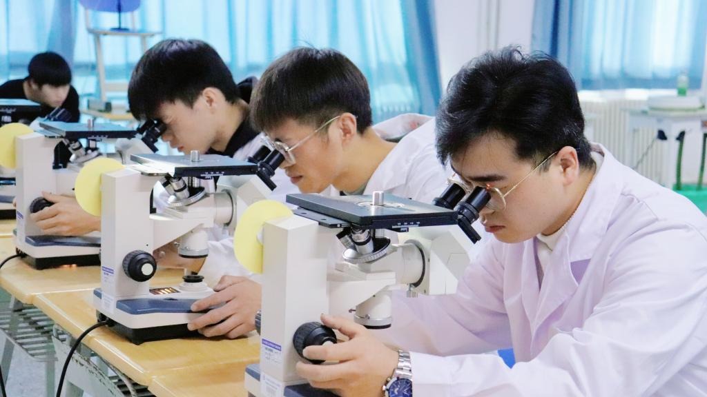 徕卡杯”第十一届全国大学生金相技能大赛决赛十大买球官方网站分赛场圆满落幕